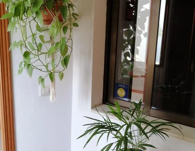 Casa Amaia Σπίτι διακοπών Arrecife (Lanzarote)