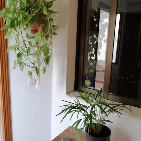 Casa Amaia 度假居 阿雷西费