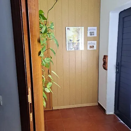 度假居 Casa Amaia 阿雷西费