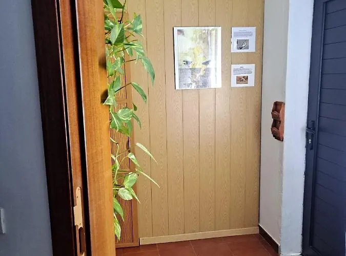 Casa vacanze Casa Amaia Arrecife (Lanzarote)